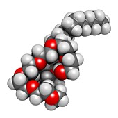 Polidocanol sclerosant drug molecule