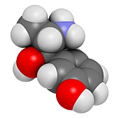 Metaraminol hypotension drug molecule