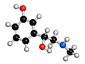 Phenylephrine decongestant drug molecule