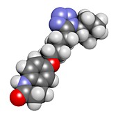 Cilostazol intermittent claudication drug