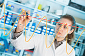 Lab assistant drawing graph