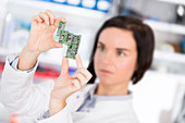 Lab assistant holding circuit board