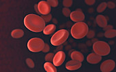 Red blood cells,illustration