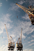 Cranes at Victoria and Albert docks