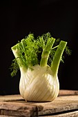 Fennel