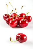 Red cherries,studio shot