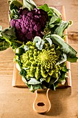 Purple and romanesque cauliflowers