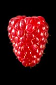 Raspberry against black background