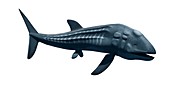 Prehistoric sea creature,illustration