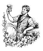 Man drinking beer,illustration
