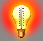 Electrical lightbulb and thermometer