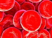 Red blood cells,illustration