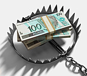 Bear trap with Brazilian real notes