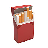 Packet of cigarettes