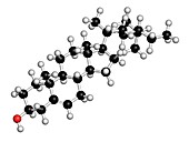 Plant sterol molecule