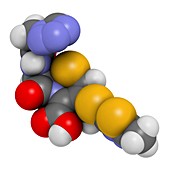 Cefazolin antibiotic drug molecule