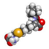 Cilastatin molecule