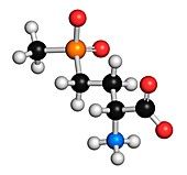 Glufosinate herbicide molecule