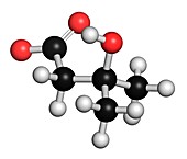 Leucine metabolite molecule