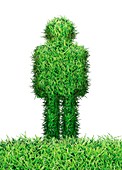 Grass human figure,illustration