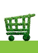 Grass shopping trolley,illustration