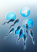 Male sperm count,illustration