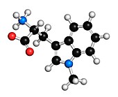Indoximod cancer drug molecule
