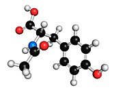 N-acetyl-tyrosine molecule