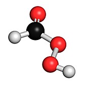 Performic acid disinfectant molecule