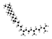 Squalane molecule
