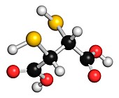 Succimer acid molecule