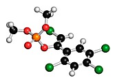 Tetrachlorvinphos organophosphate