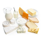Selection of dairy foods