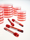 Blood collection tubes