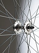 Bicycle wheel hub