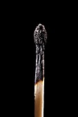 Burnt matchstick