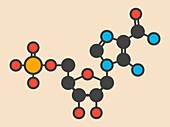 Ribonucleotide molecule