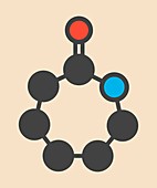 Caprolactam molecule