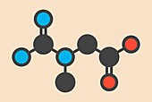 Creatine molecule