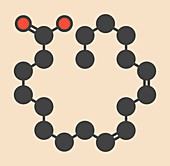 Gamma-linolenic acid molecule