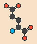 Glutamic acid molecule