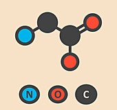 Glycine amino acid molecule