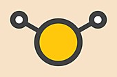 Hydrogen sulfide molecule