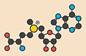 Adenosyl methionine molecule