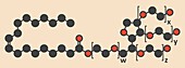 Polysorbate molecule