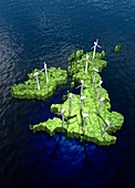 Windfarms on British Isles,illustration