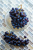 Muscat de Hambourg grapes