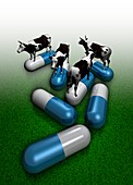 Antibiotics in farming,Illustration