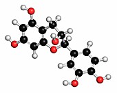 Epicatechin chocolate flavonoid molecule