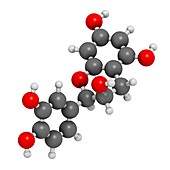 Epicatechin chocolate flavonoid molecule